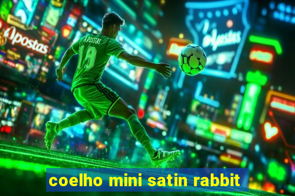 coelho mini satin rabbit